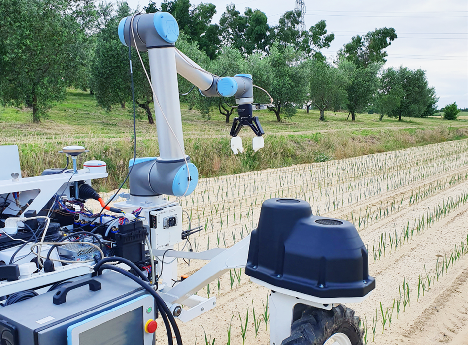 Vor immergrünen Olivenbäumen ist der Agrobot SMASH im Feld dabei, den in der Maschine integrierten Roboterarm zu testen.